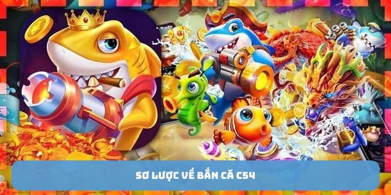 ban-ca-c54-tong-quan