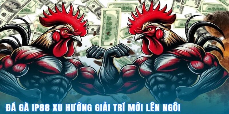 doi-net-gioi-thieu-ve-san-choi-da-ga-ip88