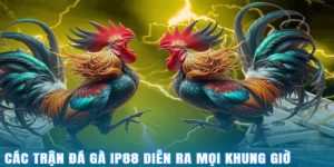 giai-ma-suc-hut-cua-sanh-game-da-ga-ip88